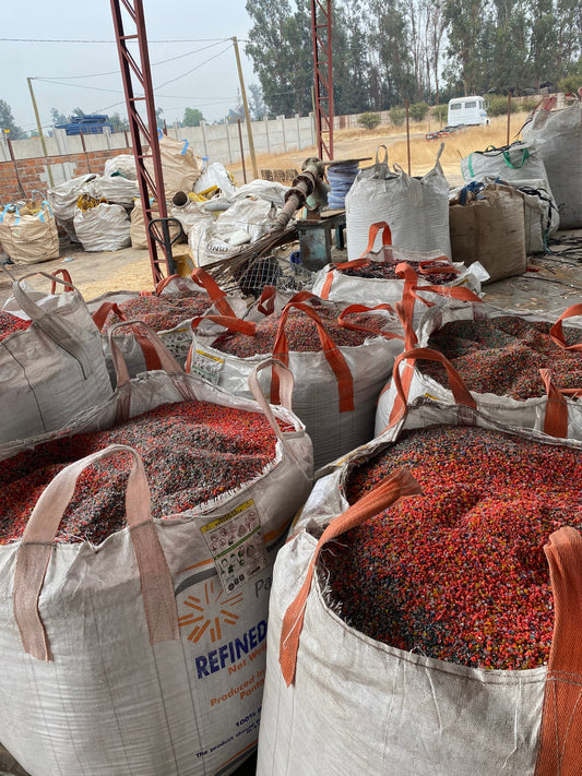 Por qué la molienda de plásticos industriales no la hace cualquier reciclador en Chile